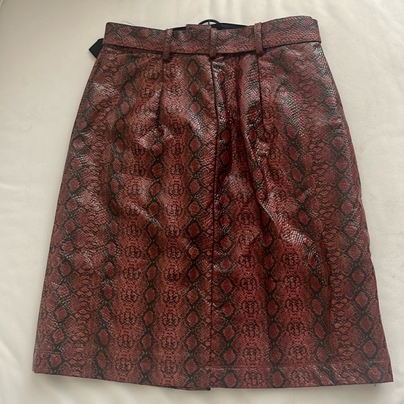 Urban Outfitters Finley Faux Snakeskin Button Front Skirt Size Small - Picture 4 of 9